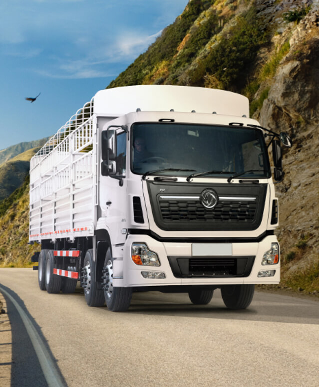 VL CARGO TRUCK